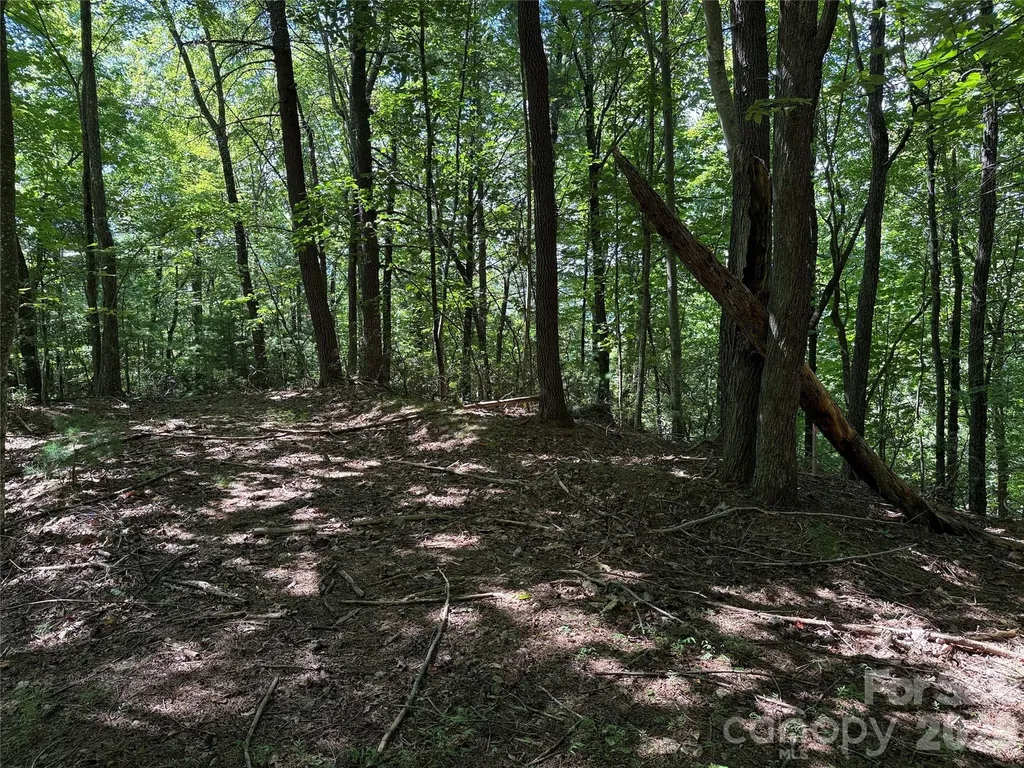 Tbd Hickory Hollow Road Purlear NC 28665