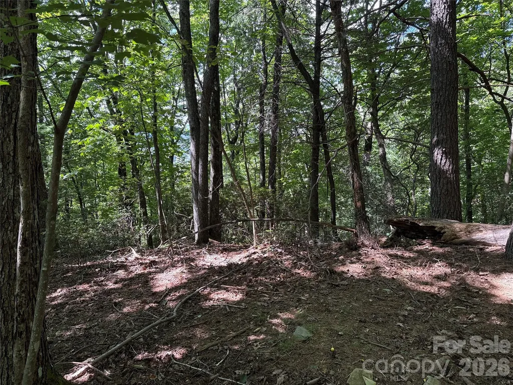 Tbd Hickory Hollow Road Purlear NC 28665