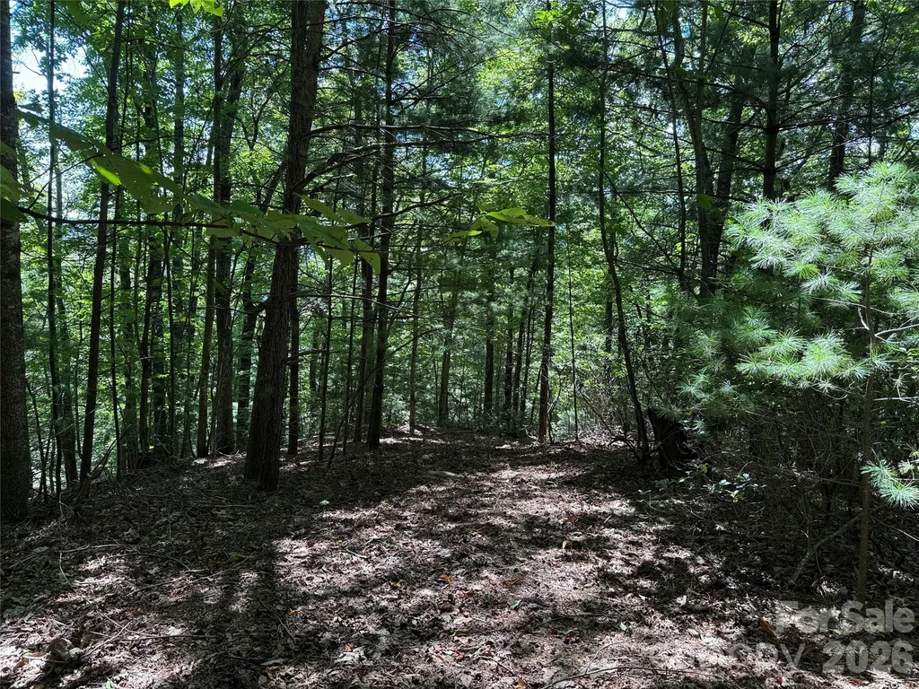 Tbd Hickory Hollow Road Purlear NC 28665