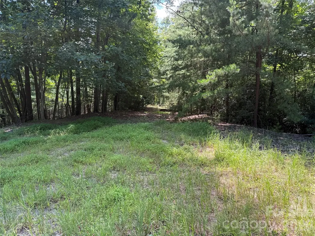 Tbd Hickory Hollow Road Purlear NC 28665