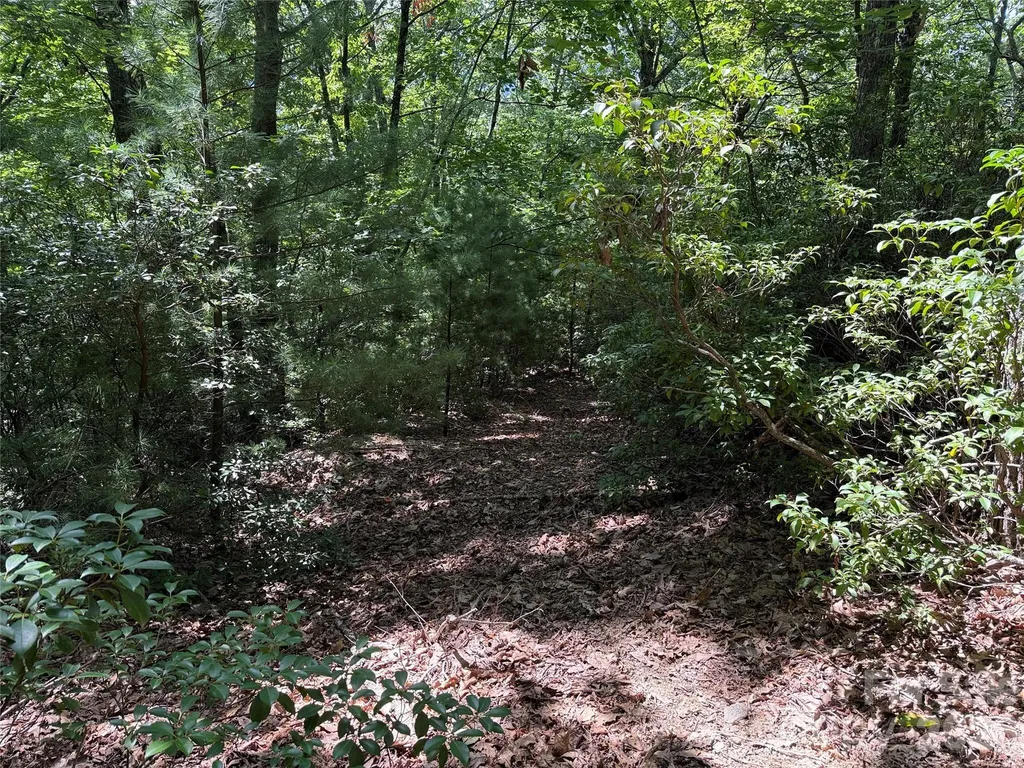 Tbd Hickory Hollow Road Purlear NC 28665