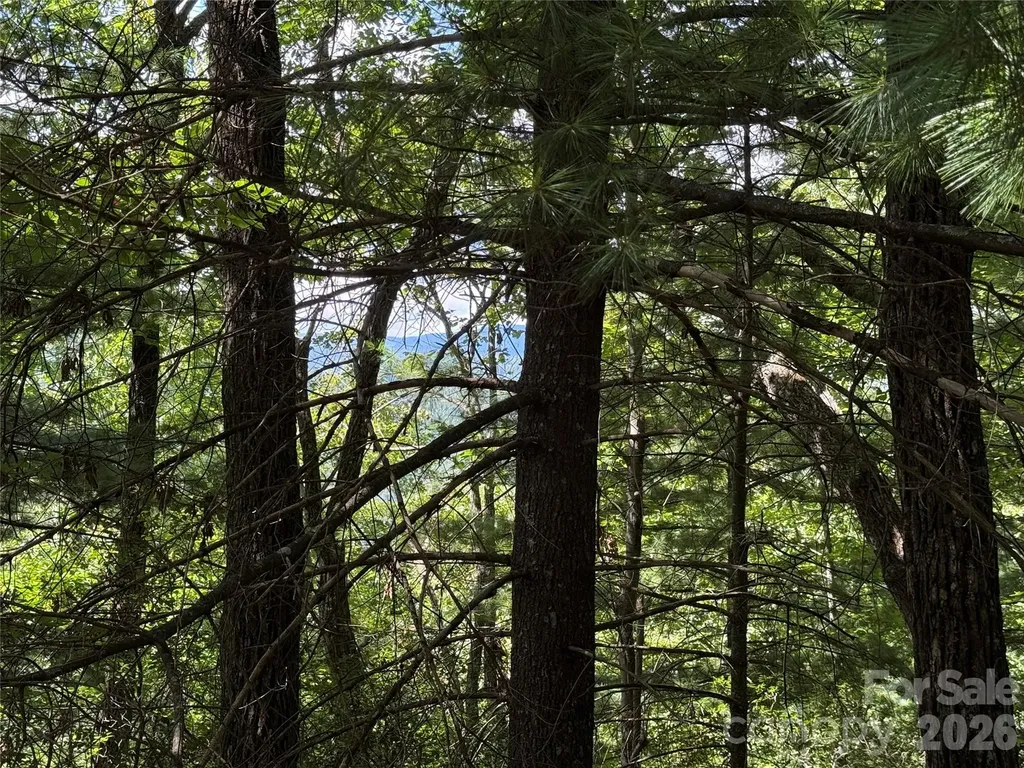 Tbd Hickory Hollow Road Purlear NC 28665