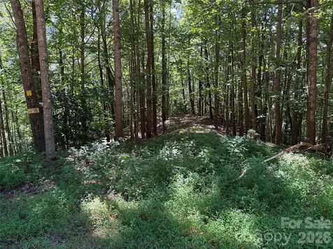 Tbd Hickory Hollow Road Purlear NC 28665