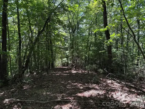 Tbd Hickory Hollow Road Purlear NC 28665