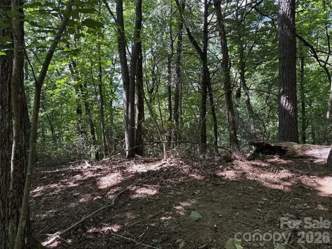 Tbd Hickory Hollow Road Purlear NC 28665