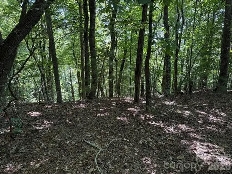 Tbd Hickory Hollow Road Purlear NC 28665