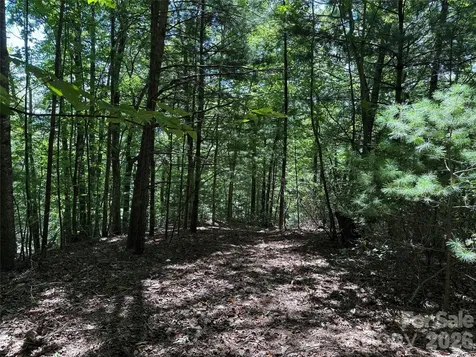 Tbd Hickory Hollow Road Purlear NC 28665