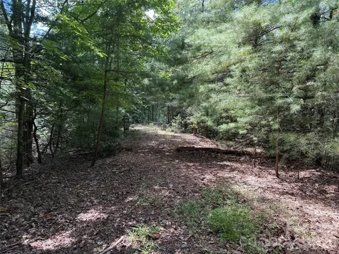 Tbd Hickory Hollow Road Purlear NC 28665