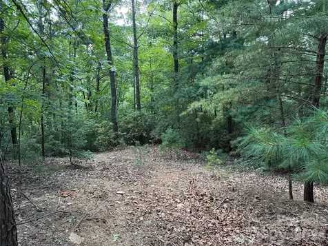 Tbd Hickory Hollow Road Purlear NC 28665