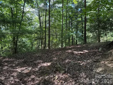 Tbd Hickory Hollow Road Purlear NC 28665