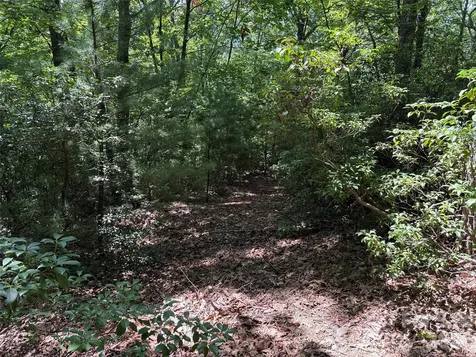 Tbd Hickory Hollow Road Purlear NC 28665