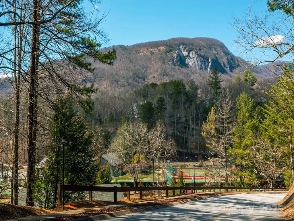 0 Hibiscus Court Lake Lure NC 28746