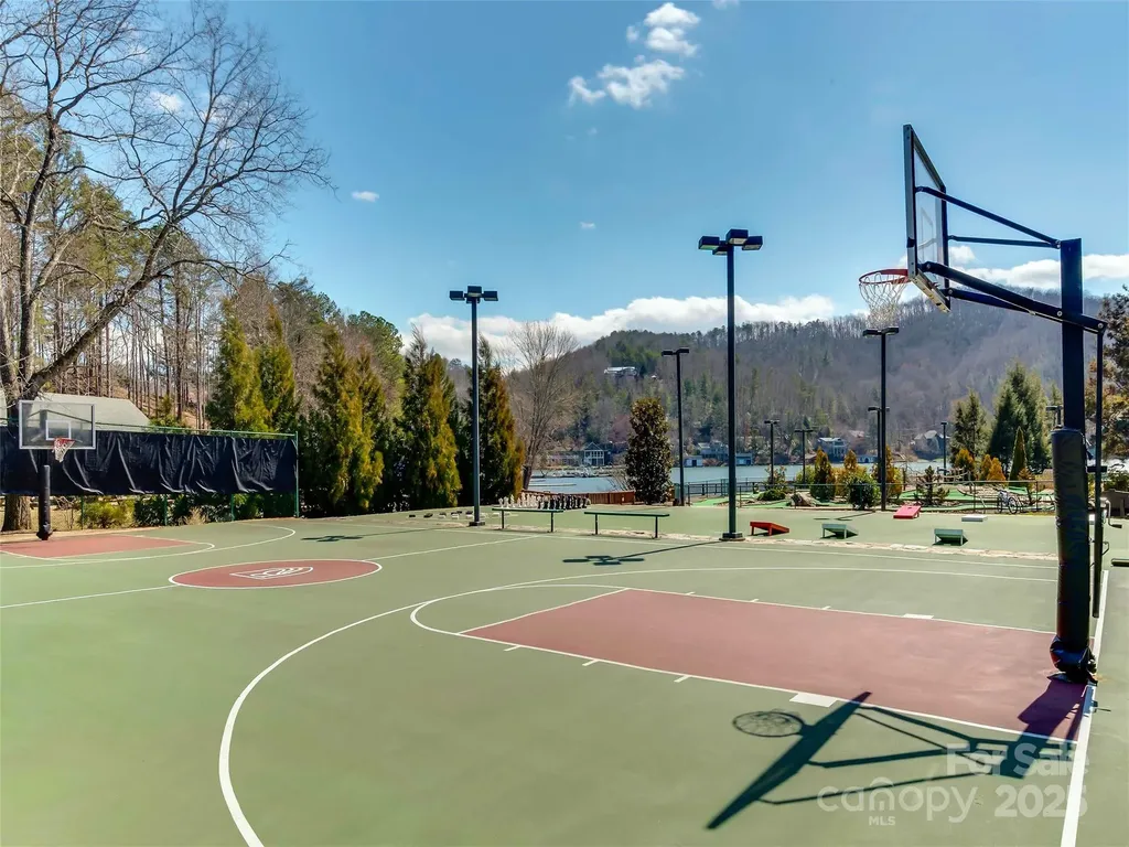 0 Hibiscus Court Lake Lure NC 28746