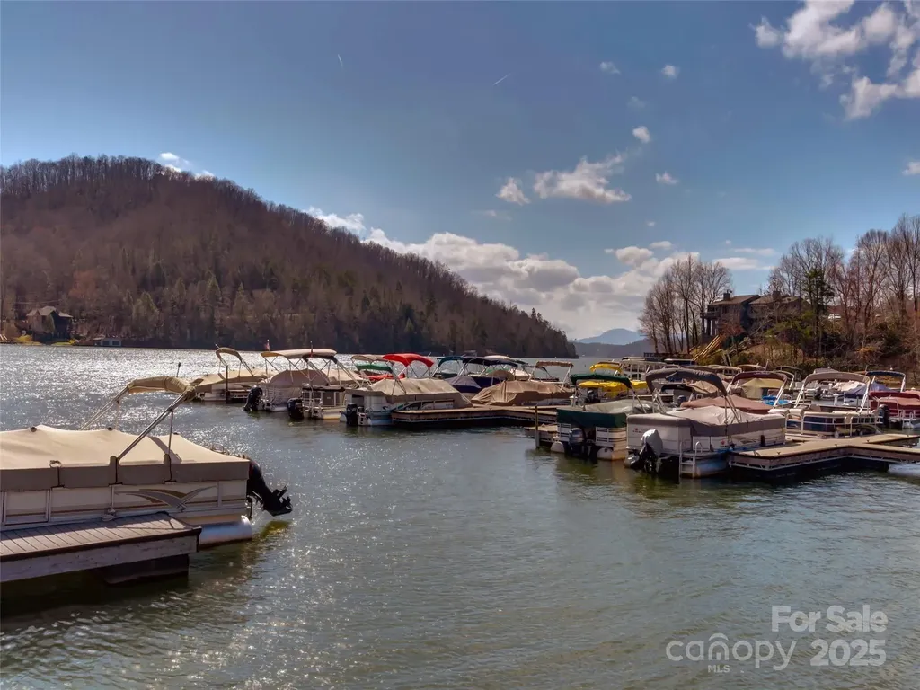 0 Hibiscus Court Lake Lure NC 28746