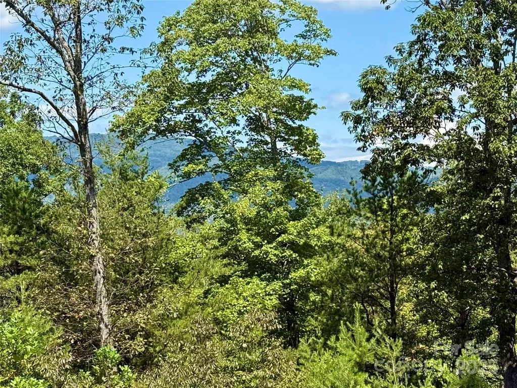 0 Hibiscus Court Lake Lure NC 28746