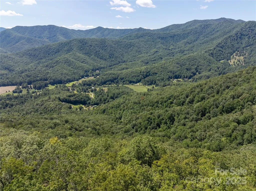 9999 Cindy Cove Trail Robbinsville NC 28771