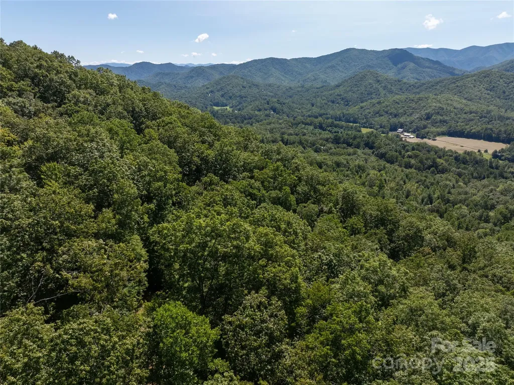 9999 Cindy Cove Trail Robbinsville NC 28771