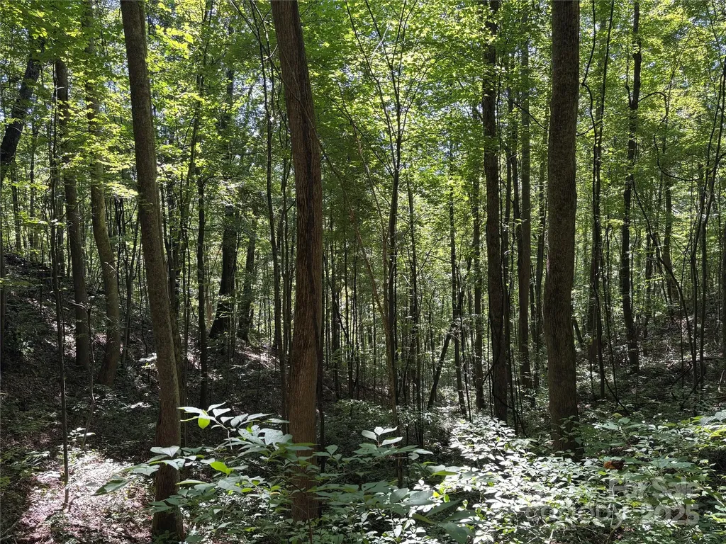 9999 Cindy Cove Trail Robbinsville NC 28771
