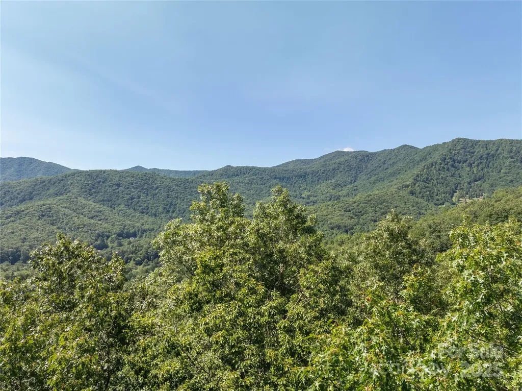 9999 Cindy Cove Trail Robbinsville NC 28771