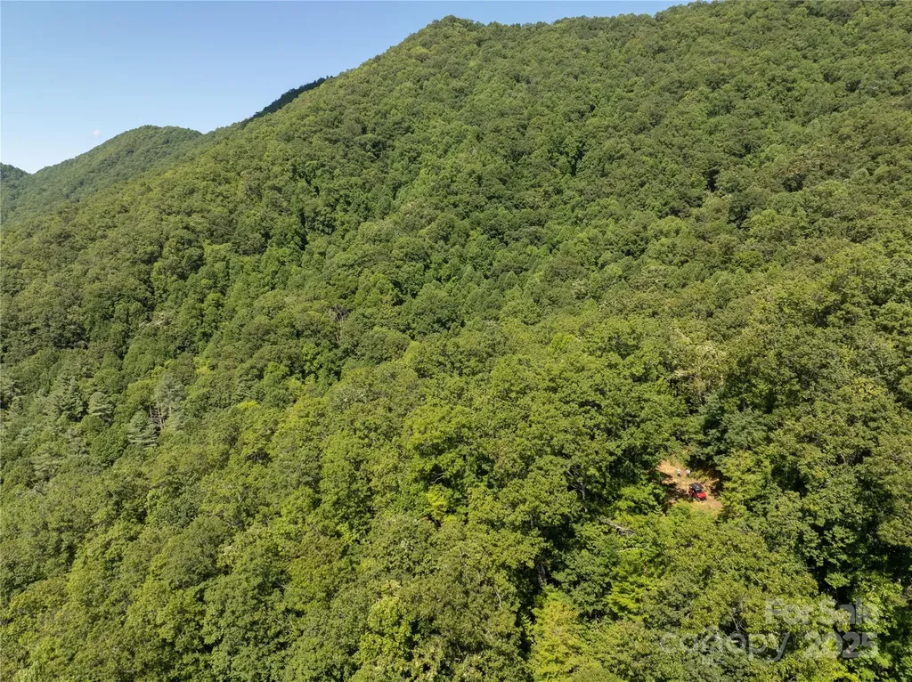 9999 Cindy Cove Trail Robbinsville NC 28771