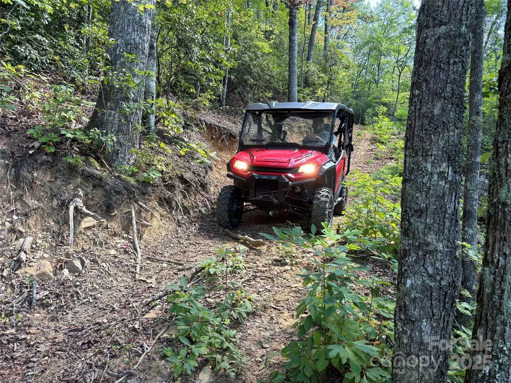 9999 Cindy Cove Trail Robbinsville NC 28771