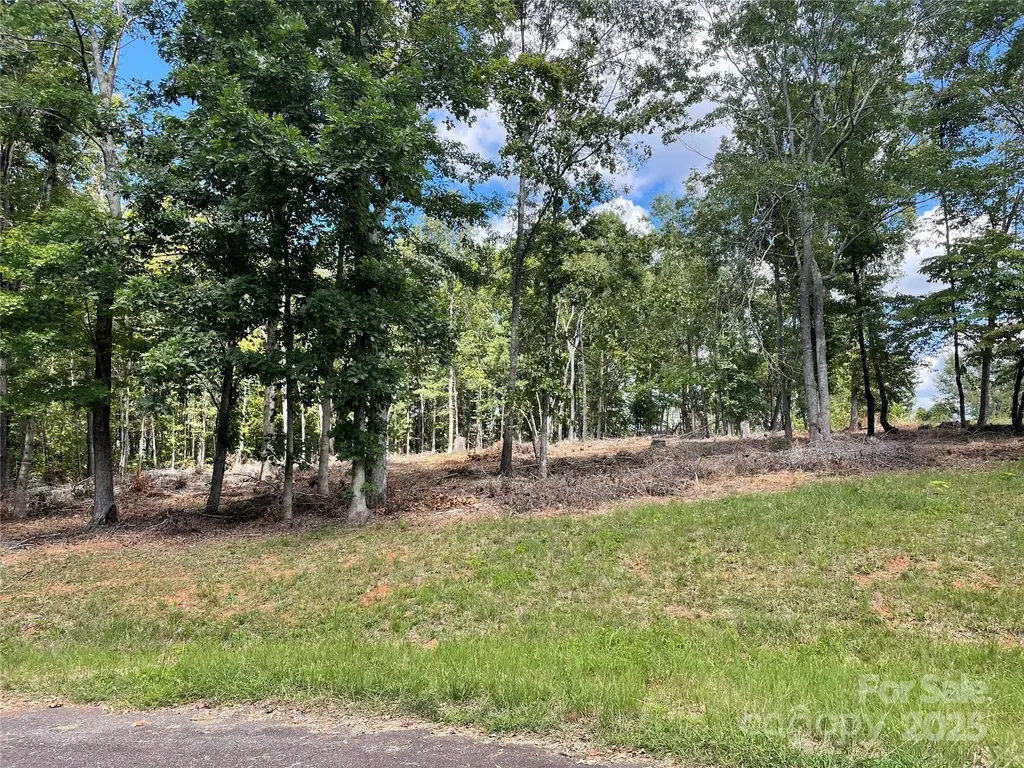 00 Carriage Drive Rutherfordton NC 28139