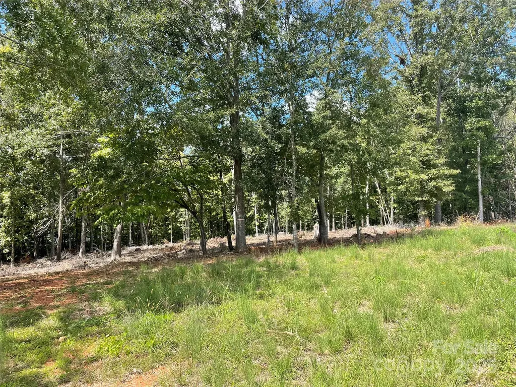 00 Carriage Drive Rutherfordton NC 28139