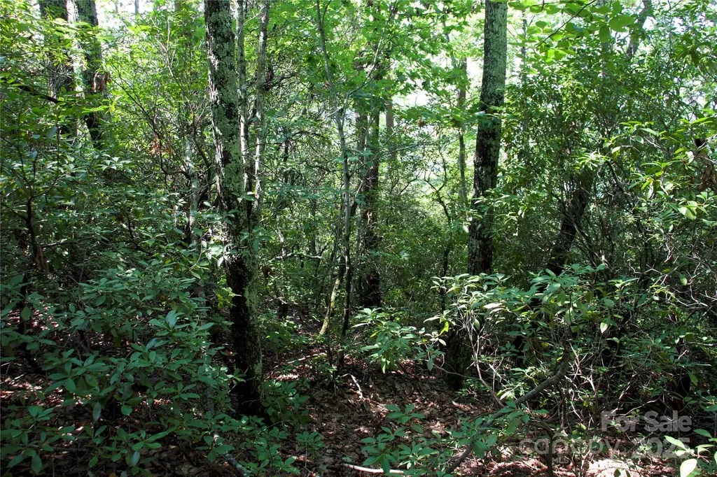 0 Mountain Lookout Drive Bostic NC 28018