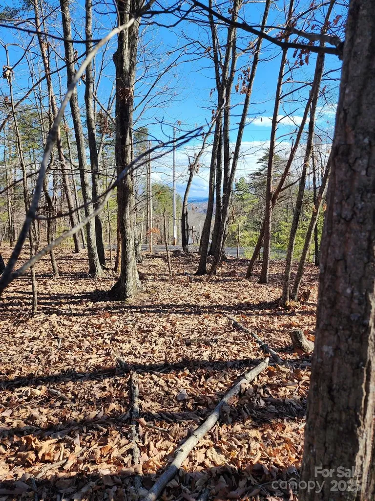 0 Mountain Lookout Drive Bostic NC 28018
