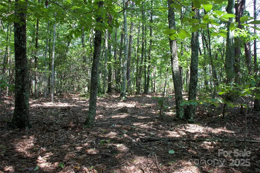 0 Mountain Lookout Drive Bostic NC 28018