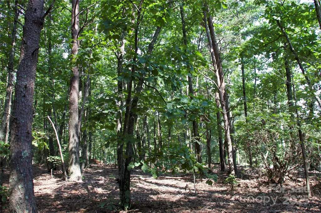 0 Mountain Lookout Drive Bostic NC 28018