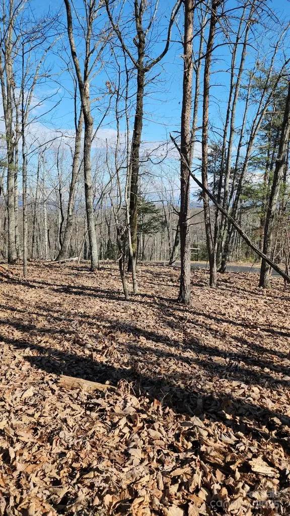 0 Mountain Lookout Drive Bostic NC 28018