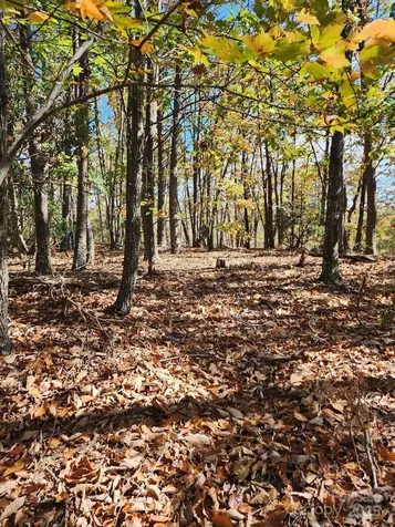 0 Mountain Lookout Drive Bostic NC 28018