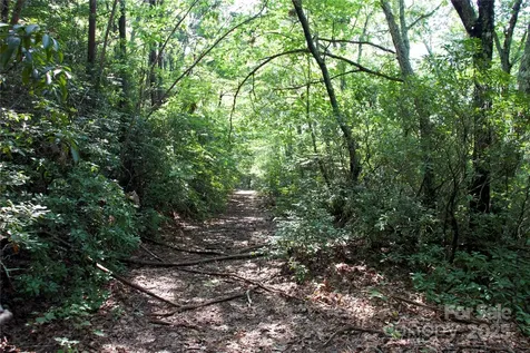 0 Mountain Lookout Drive Bostic NC 28018