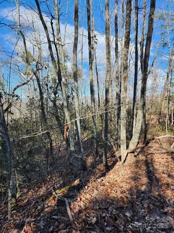 0 Mountain Lookout Drive Bostic NC 28018