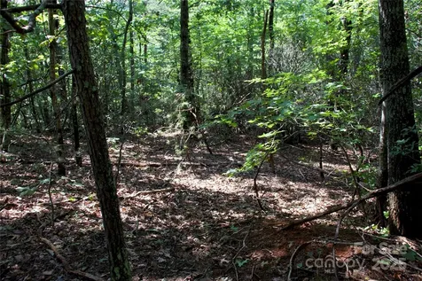 0 Mountain Lookout Drive Bostic NC 28018