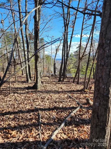 0 Mountain Lookout Drive Bostic NC 28018