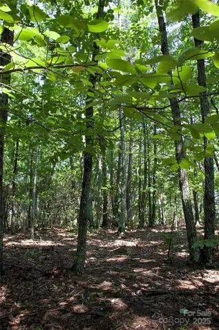 0 Mountain Lookout Drive Bostic NC 28018