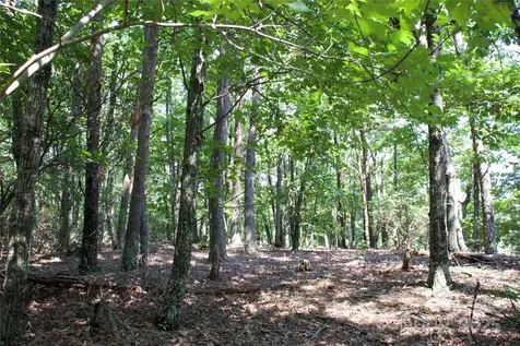 0 Mountain Lookout Drive Bostic NC 28018