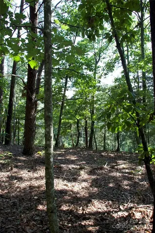 0 Mountain Lookout Drive Bostic NC 28018