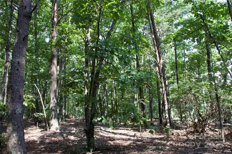 0 Mountain Lookout Drive Bostic NC 28018
