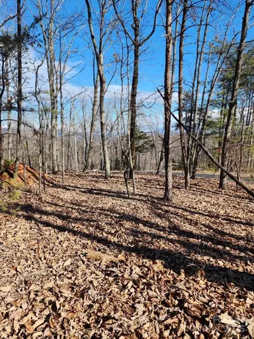 0 Mountain Lookout Drive Bostic NC 28018