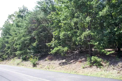 0 Mountain Lookout Drive Bostic NC 28018