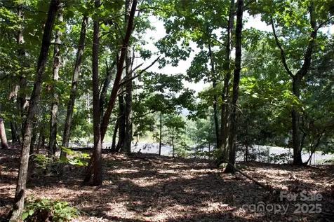 0 Mountain Lookout Drive Bostic NC 28018