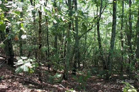 0 Mountain Lookout Drive Bostic NC 28018