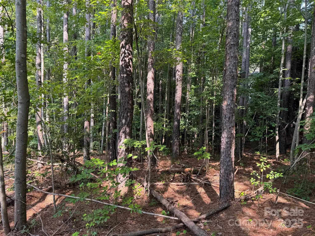 2347 Capes Cove Drive Sherrills Ford NC 28673