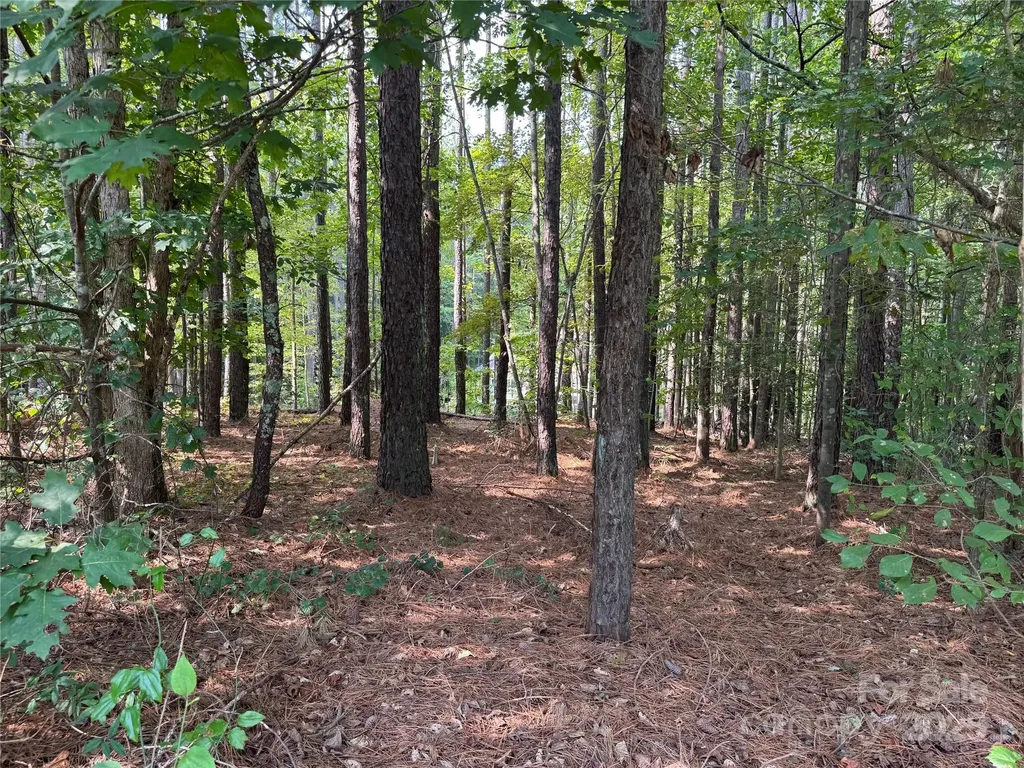 2347 Capes Cove Drive Sherrills Ford NC 28673