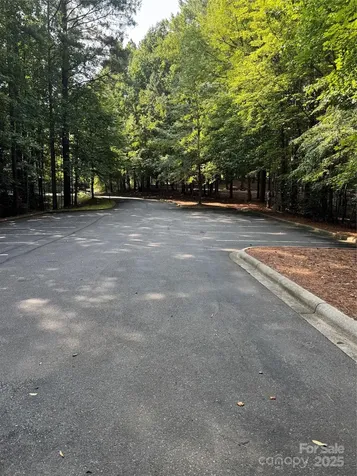 2347 Capes Cove Drive Sherrills Ford NC 28673