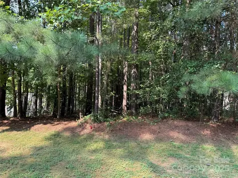 2347 Capes Cove Drive Sherrills Ford NC 28673
