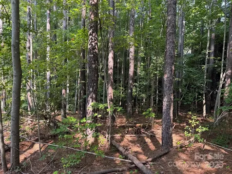 2347 Capes Cove Drive Sherrills Ford NC 28673
